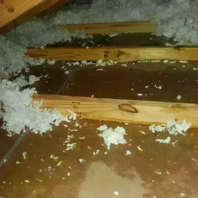 Attic Water Damage in Woodward, OK