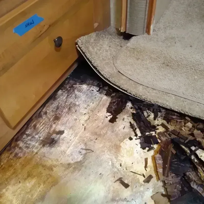 Wood Floor Water Damage in Woodward, OK